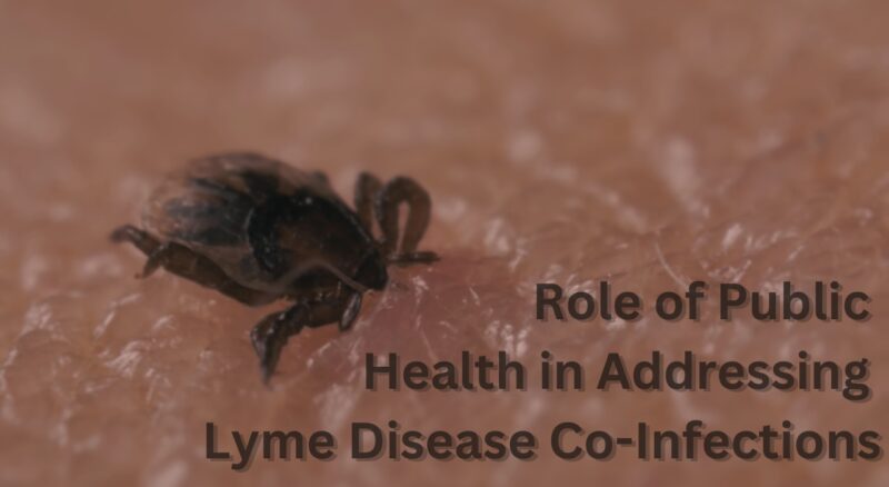 Role of Public Health in Addressing Lyme Disease Co-Infections