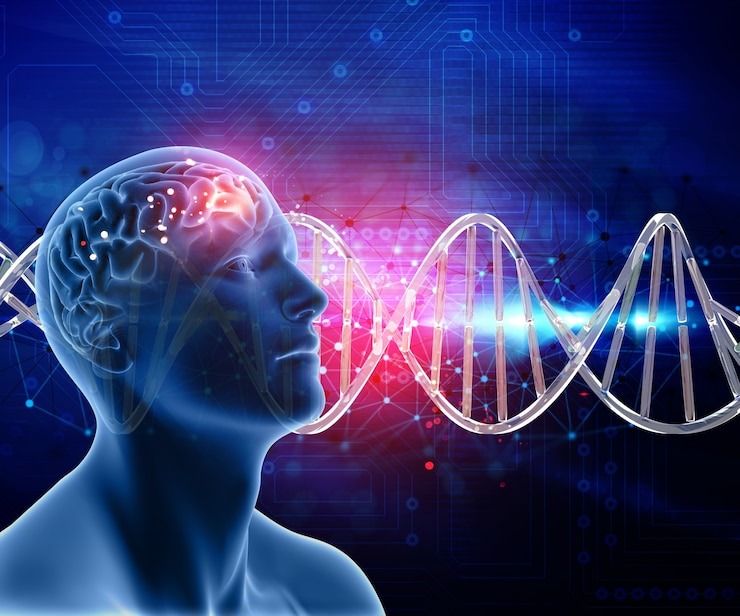 Brain’s Chemistry